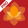 Marathi Language Test App Pro