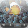 Fish Dialer