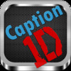 Caption 1D