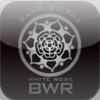 Band Of The White Rose Magazine