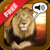 Free Sound Game Wildlife Photo