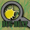 Bug Hunt!