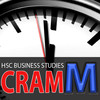 Marketing - Business Studies CRAM