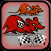 Bet for Rat Racing HD