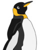 Small Penguin Pro