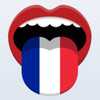 Learn French Phrasebook Pro