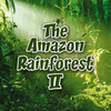 AmazonRainforestII