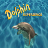 Dolphin Experience