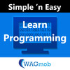 Learn Programming by WAGmob