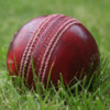 Cricket Facts & Stats