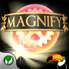 Magnify Physics