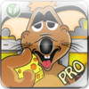 Mouse Mania Pro