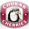 Chukar