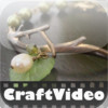 CraftVideo: Jewelry Making II