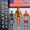 Advanced Human Body Encyclopedia