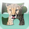 Bright puzzles: Wild Animals