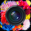 cameran: a camera app Directed by Mika Ninagawa