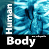 Human Body Anatomy Encyclopedia St