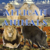 African Animals