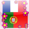 Portuguese-French Translate Dictionary