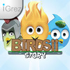 Birdsii Story