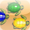 Turtle Dash