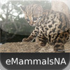 Mammals of North America - eMammalsNA