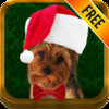 Pet Holidays - Free Funny Pet Picture Maker with One Touch Photo Sharing