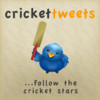 Cricketers on Twitter