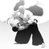 Aikido Self Defense