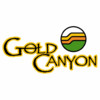 Gold Canyon Tee Times