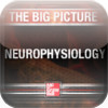 Neurophysiology the Big Picture