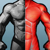 Muscle System Digital Encyclopedia