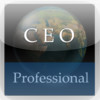 CEO Handbook (Professional Edition)