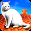 Cat Jump 3D