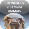 The World's Strangest Animals