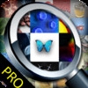 Image Surfer Pro