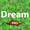 Dream: Pro