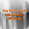 How To Potty Train Your Dog More Effectively