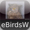 Birds of the World - eBirdsW - A Bird App