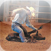 Calf Roping