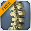 The Kinetic Spine (Free)