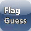 Flag Guess