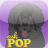 Ask POP: FREE Version