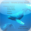 Cetaceans