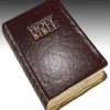 Free Daily Bible