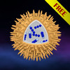 Science - Microcosm 3D Free : Bacteria, viruses, atoms, molecules and particles