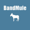 Band Mule