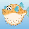 Puffer Fish