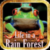 Kids Nature - Rain Forest